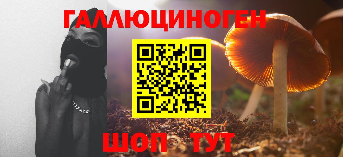 Псилоцибиновые грибы Cubensis Мурино